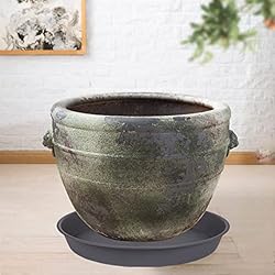 Bleuhome 6 Pack of 10 inch Plant Saucer Gray, Heavy