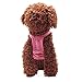 Binmer(TM)Pet Dog Clothes Puppy Flower Skirts Dress Crystal Bowknot Lace Floral Pet Princess Clothes (XL)