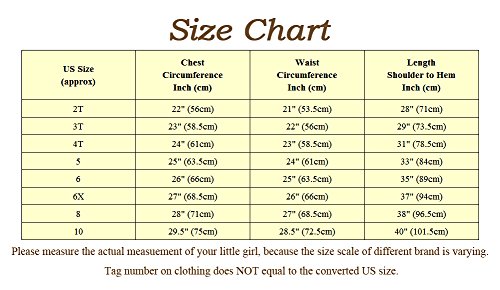 Dressy Daisy Girls' Princess Elsa Costume Fancy Party Dresses w/ cape draping Size 4T