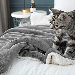 LBRO2M Sherpa Fleece Bed Blanket Queen Size Super