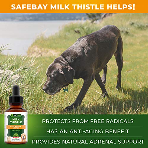 Milk Thistle Natural Liver Support & Detox for Dogs and Cats Made in USA Premium Immune