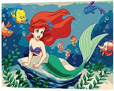 Diy oil painting paint by number Linen canvas Non-toxic environmental pigment living room Bedroom decoration 50x40cm (Mermaiden)