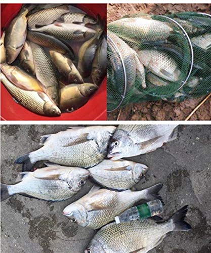 CXJYBH Qualitäts-Carbon-Faser-Fischerei-Rod Frischwasser Teleskop Angelrute 2.7M-10M Ultra Light Meeresrute Pilkrute – Bild 5