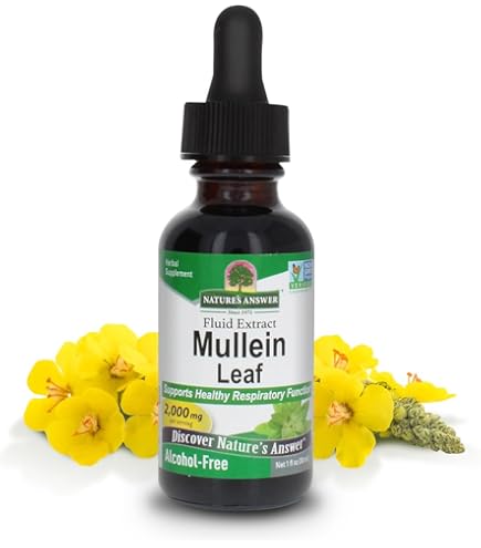 Amazon.com: Swanson Mullein Leaf Liquid Extract (Alcohol and Sugar-Free) 1  fl Ounce (29.6 ml) Liquid : Health & Household