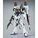 Bandai HGCE 1/144 Blast Impulse Gundam Plastic Model (Hobby Online Shop Limited) (Japan Import)