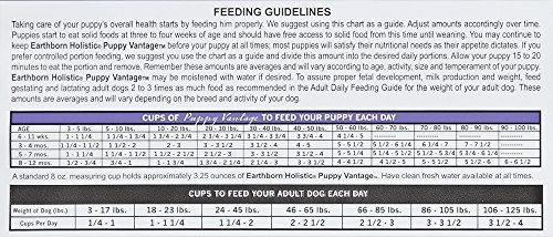 earthborn holistic puppy vantage