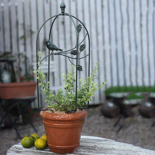 CJSWT Rankhilfe für Kletterpflanzen, Rankgitter aus Metall,Stützrahmen für wachsende Pflanzen, Obelisken Kletterhilfe… – Bild 4