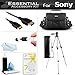 Essential Accessory Kit For Sony HDR-CX130 HDR-CX160 HDR-CX360V HDR-CX560V HDR-CX700V HDR-PJ10 HDR-PJ30V HDR-PJ50V HDR-TD10 HDR-XR160 Camcorder Includes 50
