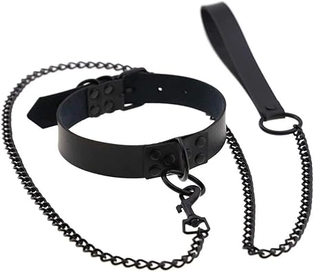 choker collar with leash