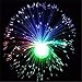 Katoot@ Beautiful Romantic Multicolor Changing LED Fiber Optic Nightlight Lamp Holiday Wedding Decor Small Night Light S3