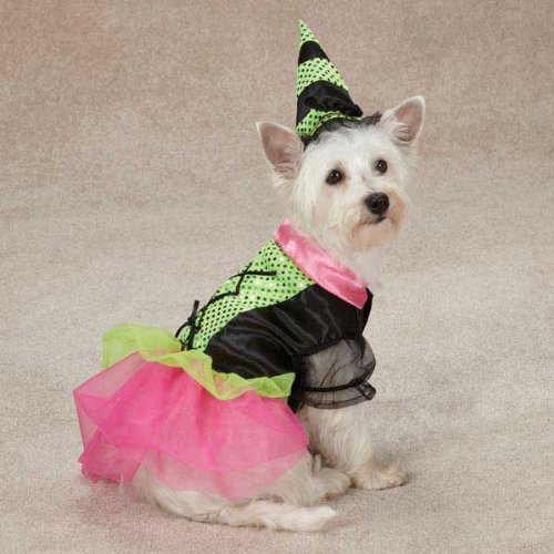 Zack & Zoey Witchy Business Pet Costume - Green