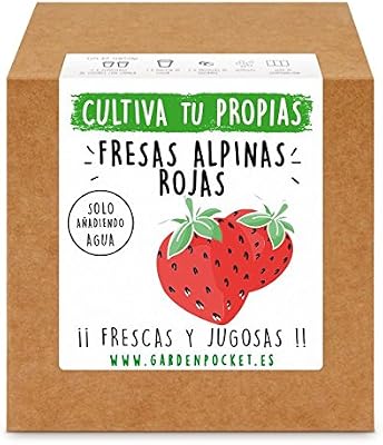 Garden Pocket - Kit Cultivo Fresas Rojas: Amazon.es: Jardín
