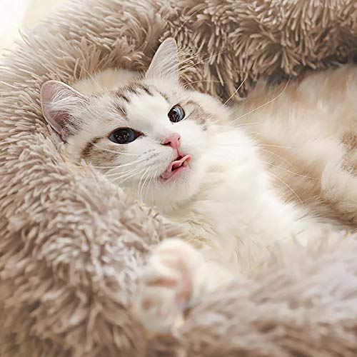 Love's cabin 20in Cat Beds for Indoor Cats - Heated Cat Bed with Machine Washable, Waterproof Bottom - Fluffy Dog and Cat Calming Cushion Bed for Joint-Relief and Sleep Improvement - Thumbnail 5