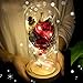 Adoeve Pink Rose Enchanted Red Silk Rose and LED Light in Glass Dome on a Wooden Base Artificial Flowers