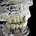 Silver Tone Single Cap Grillz Plain Canine K9 Bling Tooth Hip Hop Grill Slug