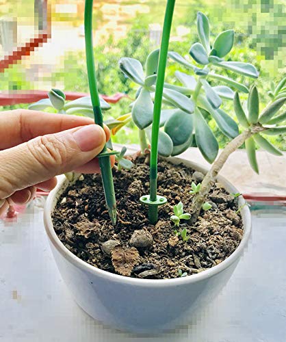 Plant Watering Devices Automatic Watering Irrigation Drippers Bag, Garden Plant Flower Self Watering Spikes Device with Adjustable Flow Rate, Vacations Plant Drip Sprinkler Water Watering Kits (6) - Thumbnail 5
