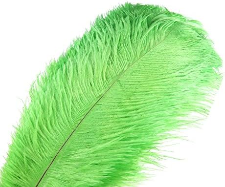 10pcs Natural Ostrich Feather Craft 14-16inch(35-40cm) Plume for Wedding Centerpieces Home Decoration (Lime Green)