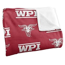 Worcester Polytechnic Institute Engineers