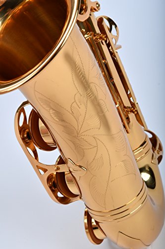 NEW! Herche Superior Alto Saxophone AS-630 Best for Students - Durable forged keys -Plush lined Saxophone BackPack Case - Leather Pads - Cork Grease - Saxophone Neck Strap - #2 Rico Saxophone Reeds