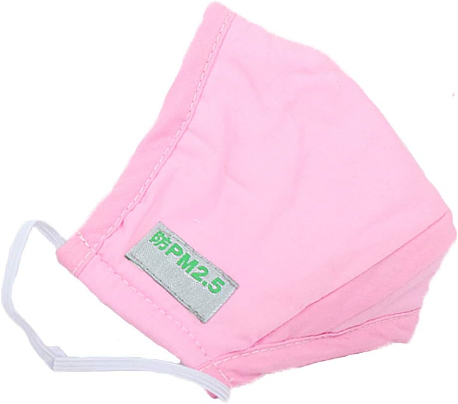 Face Masks for Children (1 Pack) Mouth Mask Protective for pet allergens, Dusty environments, and Other environments That Require Respiratory Protection LightPink