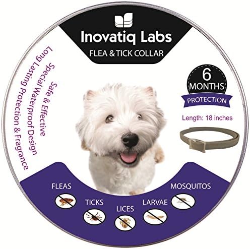 Flea and Tick Control Collar for Dogs by Inovatiq Labs – Ultra-Effective, Safe &amp; Easy to Use Flea Collar for Pets – Lasts up to 6 Months – Suitable for Small, Medium &amp; Large Size Dogs