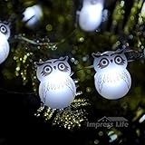 Snow Owl LED String Lights By IMPRESS LIFE on 10 ft Copper Wire 40 Cold White LEDs with Remote for Thanksgiving, Christmas Eve, Baby Shower, Outdoor, Indoor Home Parties Decorations