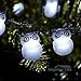 Impress Life Christmas Tree String Lights Decorations, Owl Snow Bird 10 ft Silver Wire 40 LED Battery Operated with Remote for Outdoor Indoor, Living Room Bed Fairy Lighting Holiday Party Ornaments