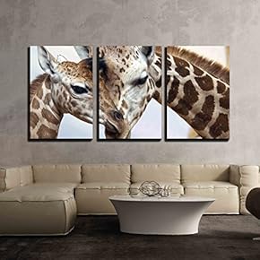 Mother And Baby Giraffe Photography - Canvas Art