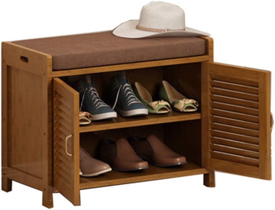 shoe carrying case
