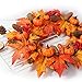 Valdler 22 Inch LED Winter Front Door Decorative Wreath with Maple Leaf,Pumpkin, Pinecone,Red Berries Garland