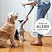 Rocco & Roxie Chicken Jerky Dog Treats 1 lb | Soft Training Snacks Made in USA | High Value Treat for Small Dogs, Large Breeds, Seniors & Puppies | Natural Jerky Chews for Rewarding Good Behavior