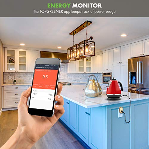 TOPGREENER Smart WiFi Powerful Plug with Energy Monitoring, WiFi Smart