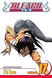 Bleach, Vol. 17