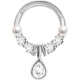 LunaLoop Hoop Nose Rings for Women Septum Nose Rings Gold Silver 16g Nose Piercings Jewelry 316L Surgical Steel Conch Rook Helix Piercing Jewelry CZ Cartilage Hoop Earring