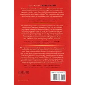Sinews of Power: The Politics of the State Grid Corporation of China