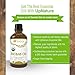 Baobab Essential Oil - Pure, Organic, Unrefined, Non-GMO - Natural Serum For Hair Growth & Shine - Great As Moisturizer, Under Eye Bags, Stretch Marks - With Dropper (4 oz.) by UpNature