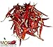 Dried Arbol Pepper (Chile De Arbol) WT: 4 Oz, 8 Oz, 1 Lb, 2 Lbs, 5 Lbs, and 10 Lbs! (1 LB)