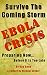 Survive The Coming Storm - Ebola Crisis: A Prepper's Guide on How To Prepare For A Killer Global Ebola Pandemic and Treat At Home