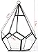 NCYP Mini Wall Hanging Glass Terrarium, 4.5 x 4.5 x 5.3 inches Diamond Shape Geometric Terrarium for Succulent Plant, Desktop Decor, Mini Centerpiece, Modern (Plants Not Included)