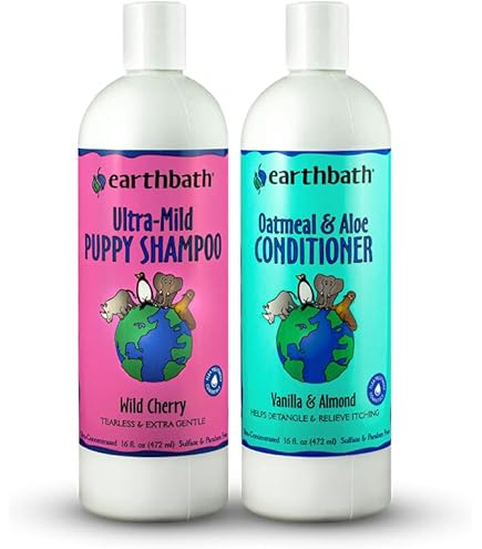 Amazon.com: earthbath, Oatmeal & Aloe Dog Shampoo - Oatmeal Shampoo for  Dogs, Itchy, Dry Skin Relief, Dog Wash, Made in USA, Cruelty Free,  Fragrance Free Pet Shampoos, Natural Dog Shampoo - 16