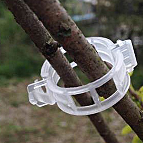 Color Scissor 100 Pcs Plant Support Clips, White Tomato Trellis Clips for Garden Vegetables Vine to Grow Upright and Makes Plants Healthier