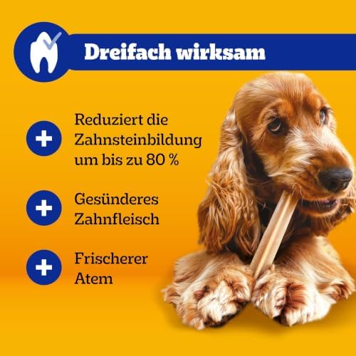 DentaStix Hundesnack für kleine Hunde (5-10kg), Zahnpflege-Snack mit Huhn und Rind, 1 Packung je 56 Stück (1 x 880 g)