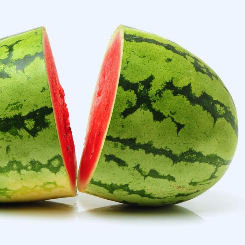 4 Live Watermelon Plants (4 Inches Tall) - Red Watermelon Live Plant Pot for Indoor Outdoor Gardening by GardenNurserySince1996