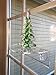 Veg Ledge Suction Cup Window Shelf – Create an indoor garden, hold your planter pots, seed starter, figurines on your window. Grow herbs, Microgreens, succulents, flowers. Sleek, dependable.