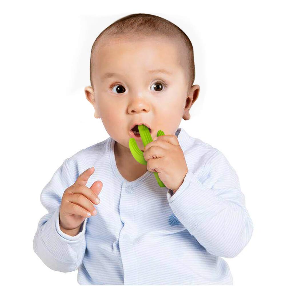 tuxepoc Baby teething toys,Silicone Baby Care Teether,Bendable Training Toothbrush,Silicone Teether cactus (Grass green)