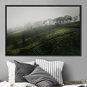 signwin Framed Canvas Wall Art Greenlands Aerial Dark...