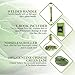Jade Roller for Face Massager – Anti Aging Wrinkling Facial Therapy, 100% Real Natural Jade Stone with Gua Sha Scraping Tool, Slimming, Face Roller Massage, Healing, Rejuvenating Your Skin Naturally