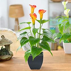 Artificial Flower Plants Calla Lily Faux Small