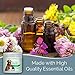 SMELLS BEGONE Pet Odor Absorber Gel - Air Freshener - Absorbs Odor from Bathrooms, Cars, Pet Areas, Boats & RVs - Made with Essential Oils - Calming Rain Scent - 15 Ounce