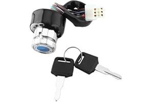 AOWINHIT 6-Wire Universal Ignition Key Switch Durable for Motorcycle Car 3 Position TPST for Many Models